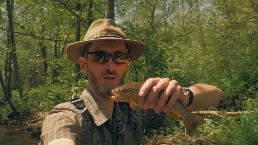 Fliegenfischen lernen auf Forelle und Äsche im Bach