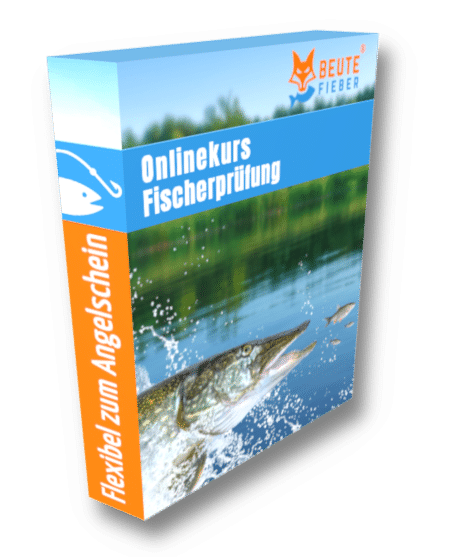 Angelschein Online Kurs Fischerprüfung
