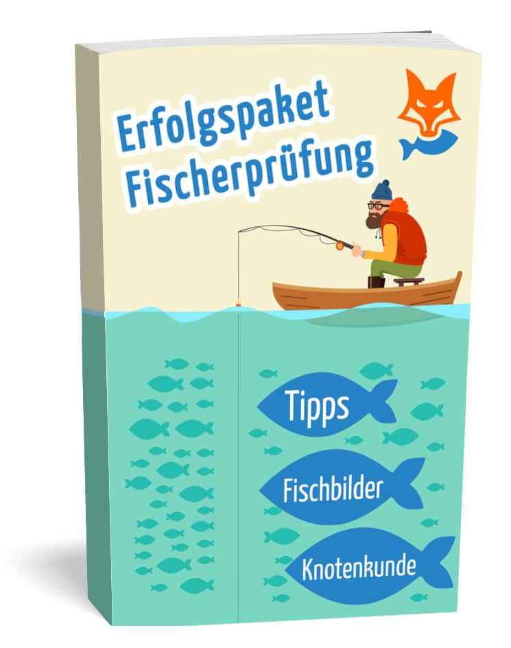 Erfolgspaket Angelschein machen Tipps