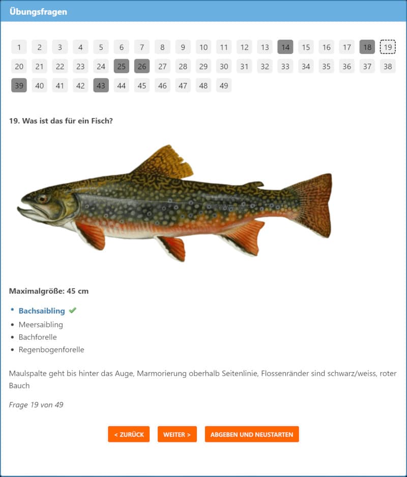 Fischquiz Bachsaibling